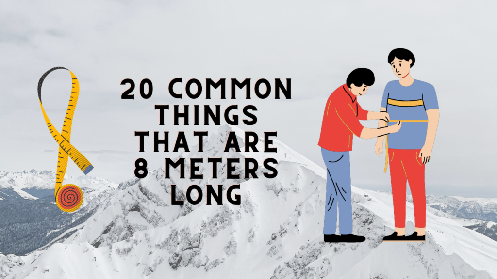 Common Things That Are Meters Long Measuring Tips