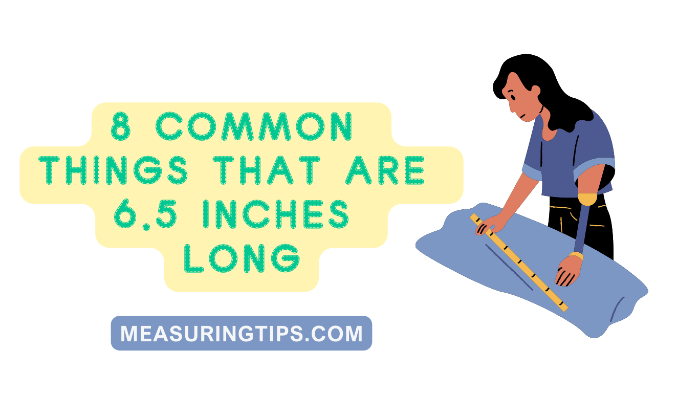 8 Common Things That are 6.5 Inches Long