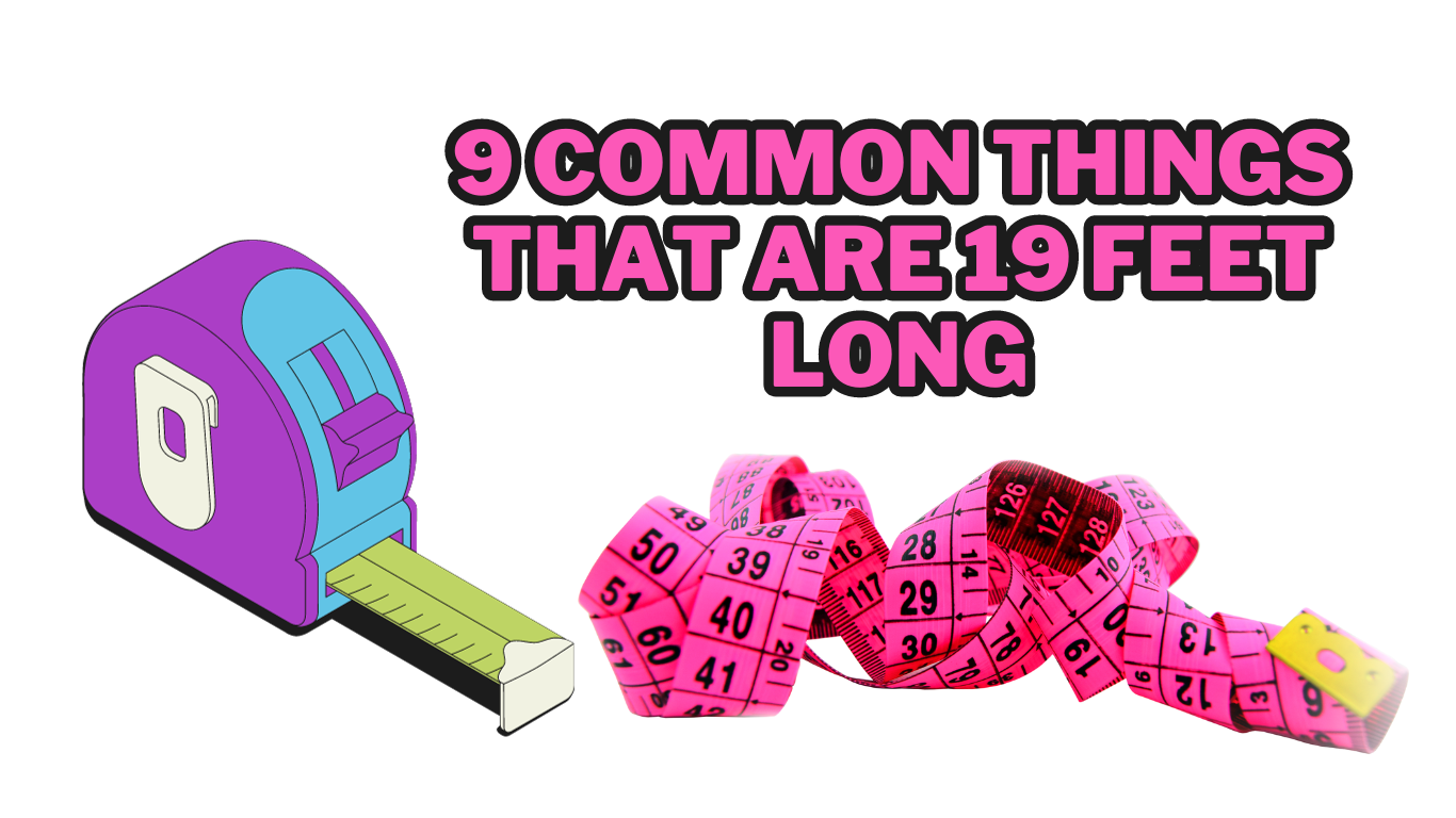 9 Common Things That are 19 Feet Long