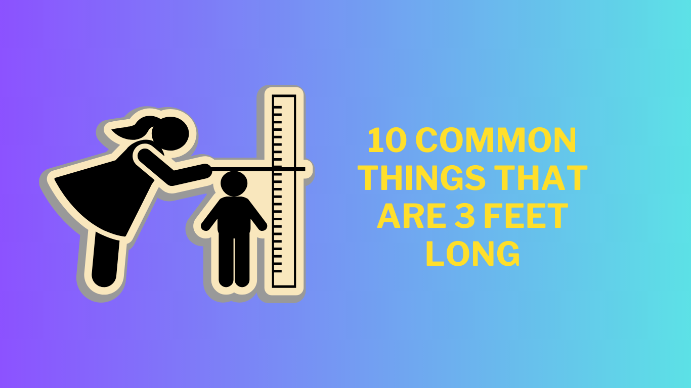 10 Common Things That are 3 Feet Long